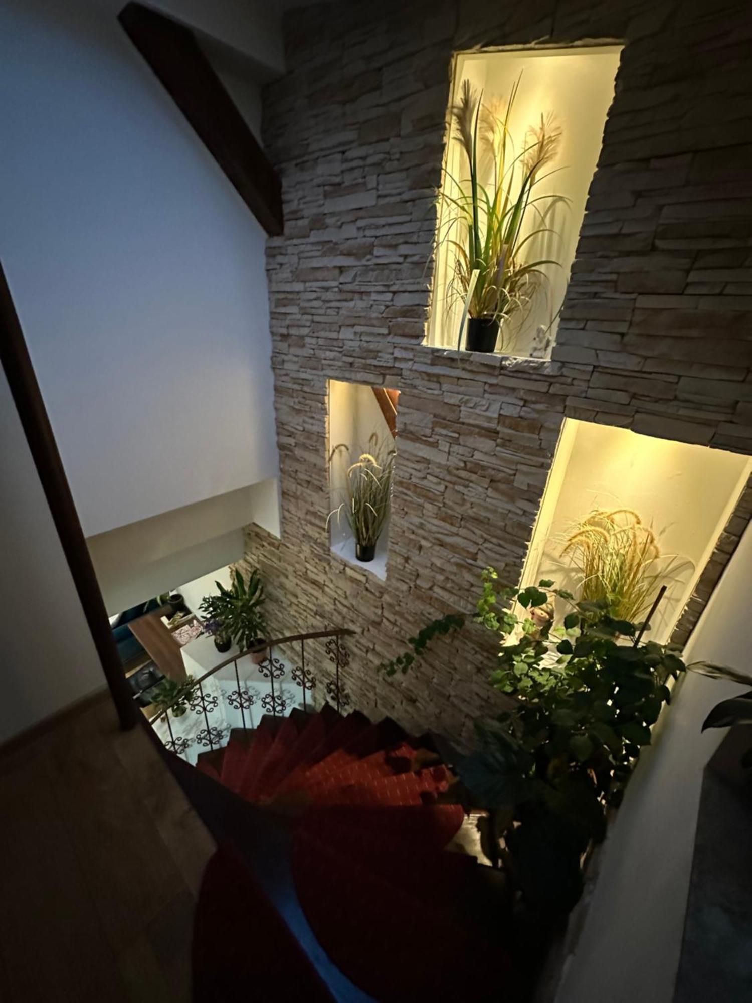 Grazia Apartment Тімішоара Екстер'єр фото